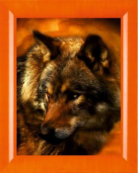 Алмазная мозаика PSP "Волк на фоне луны" N-248