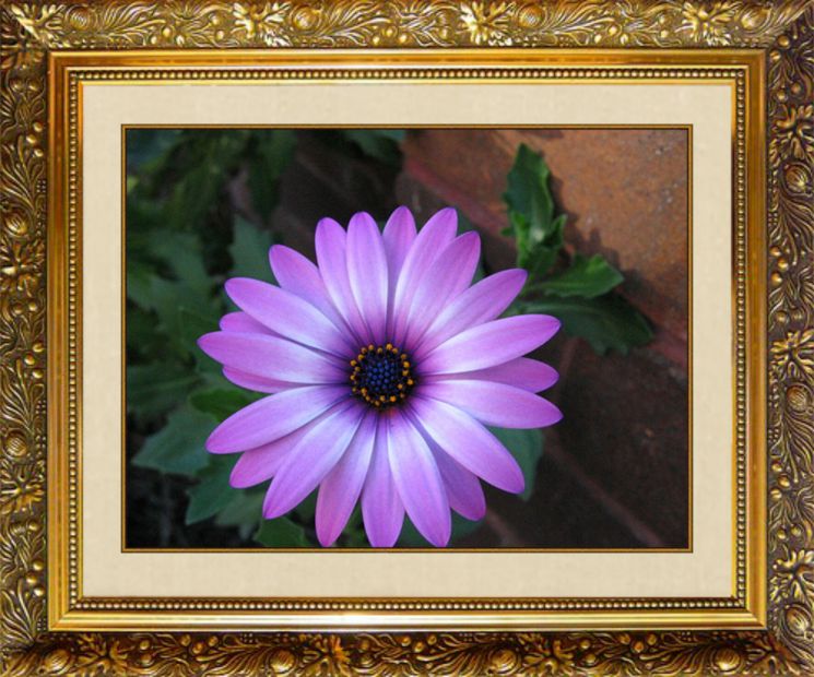 N-127 Алмазная мозаика МИЛАТО "Ромашка фиолетовая"