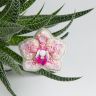 БП-301 Набор для изготовления броши Crystal Art "Орхидея"