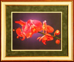 N0023 "Таинство ночи" (Рисуем иглой)