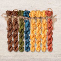 НМул-ИМЧ170-3282-5 Набор ниток OwlForest для схем «Индейские мотивы» (DMC) 5 цветов «Черепаха» 28 каунт в 2 нити