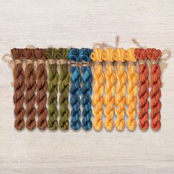 НМул-ИМЧ170-3283-5 Набор ниток OwlForest для схем «Индейские мотивы» (DMC) 5 цветов «Черепаха» 28 каунт в 3 нити