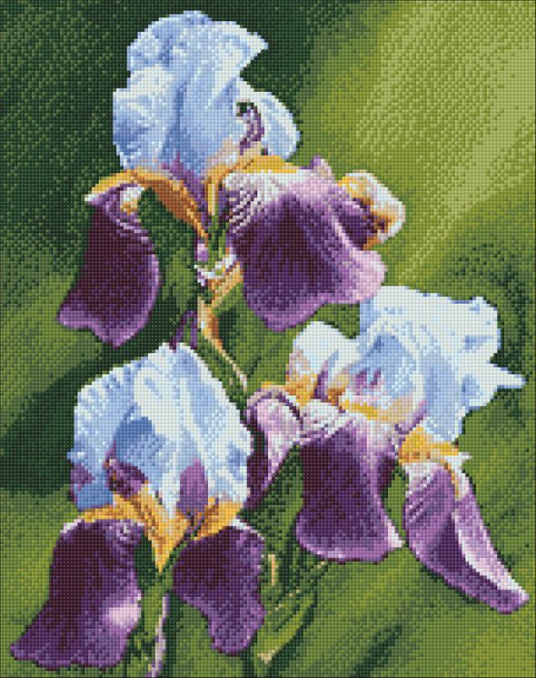 Ag 379 Алмазная мозаика Гранни "Ирисы"
