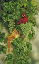 НКБ-243 Набор для вышивания бисером ТМ Наследие "Любители винограда"