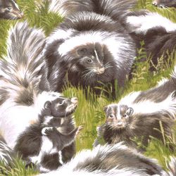 Ткань для пэчворка (1 отрез) 