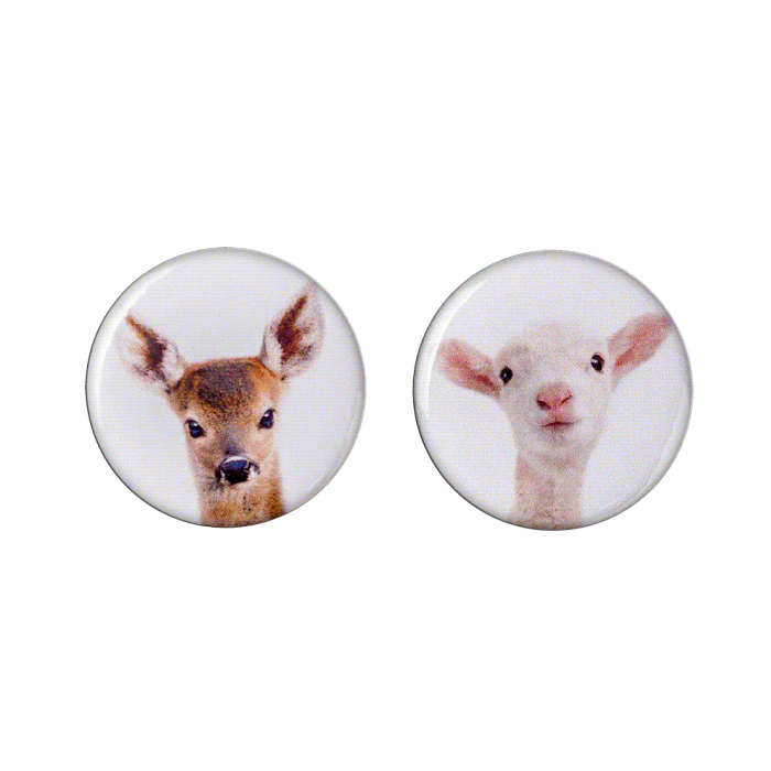 ВОЛШЕБНАЯ  СТРАНА