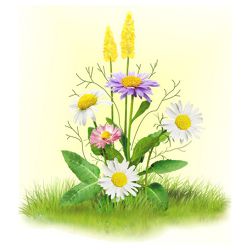 7025 Набор для вышивания лентами "Ромашки с цветочками" (Матренин Посад)