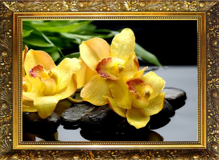 NR-6 Алмазная мозаика Милато "Цветок радости"