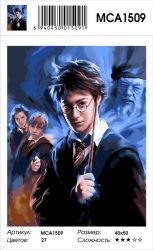 MCA1509 Картина по номерам  "Самый известный волшебник", 40х50 см
