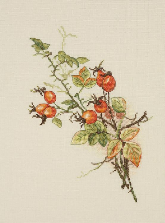 04.001.05 Набор для вышивания Марья Искусница "Осенний шиповник"