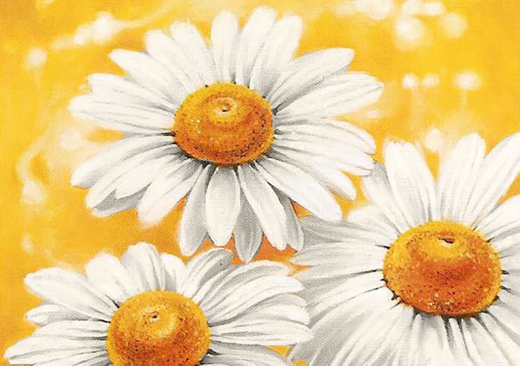 Алмазная мозаика Гранни "Летние ромашки" Ag4646