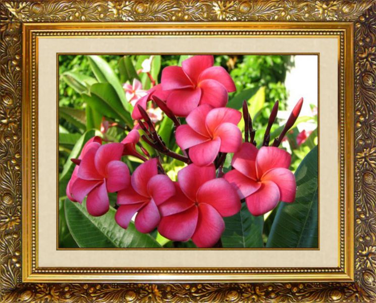 Алмазная мозаика Милато "Тропические цветы" N-115