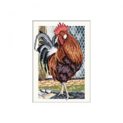 М350 Набор для вышивания РТО "Красавец-петух"