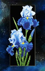 БСА3-174 Алмазная мозаика ТМ Наследие "Ирисы в рамке"