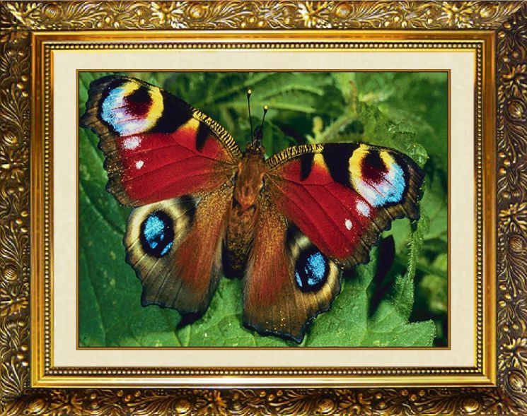 Алмазная мозаика Милато "Бабочка Хамелеон" N-312 