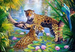 GX3050 "Отдых на ветке" (Paintboy)